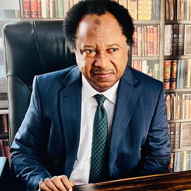 Shehu Sani ya shawarci ’yan Nijeriya da aka soke musu biza da su komo gida kafin a kama su a Amurka