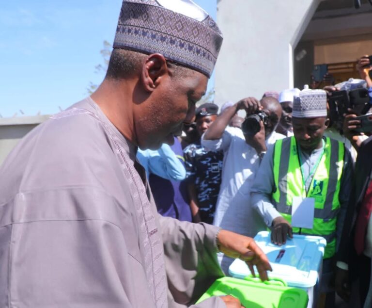 Babu jam’iyyun PDP, ADC a jikin takardar zaben kananan hukumomin da ke gudana a jihar Borno