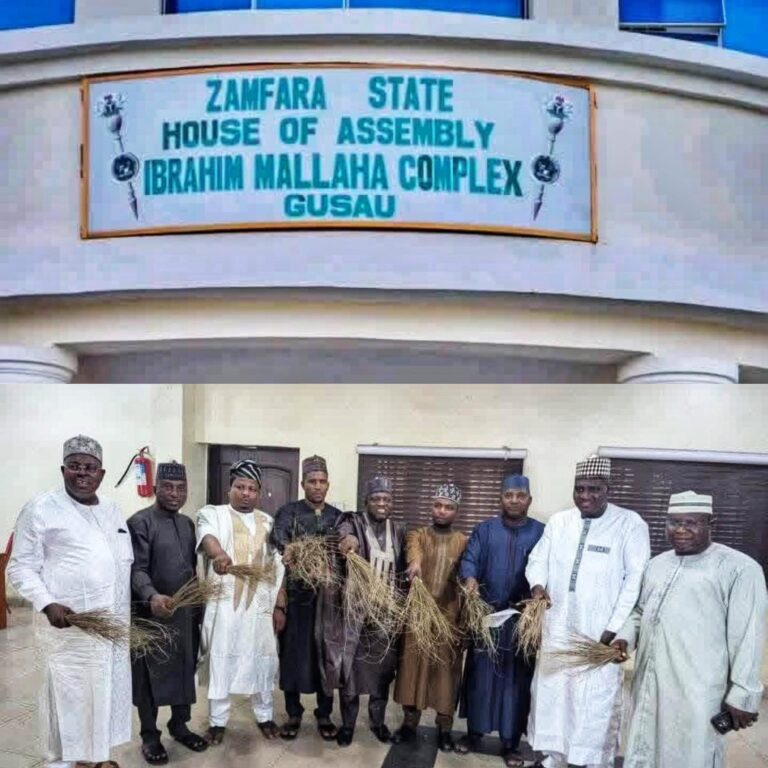 ‘Yan majalisar dokoki 6 a Jihar Zamfara sun fice daga PDP zuwa APC