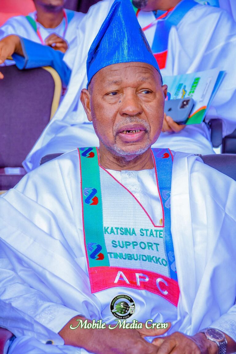 APC ta maye gurbin Uzodimma da Masari a shugabancin kwamitin taron ƙasa