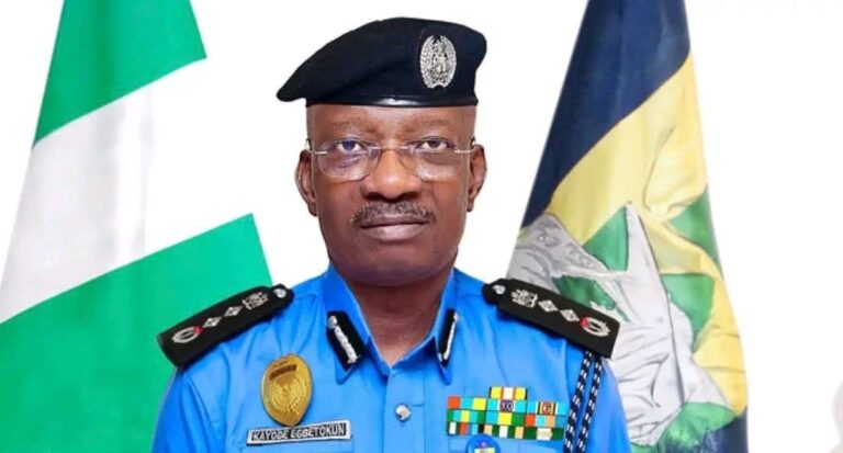 An tilasta wa IGP Kayode Egbetokun yin murabus daga mukaminsa – Premium times