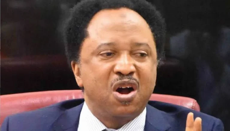 Shehu Sani ya karyata El-Rufai kan batun bacewar Dadiyata