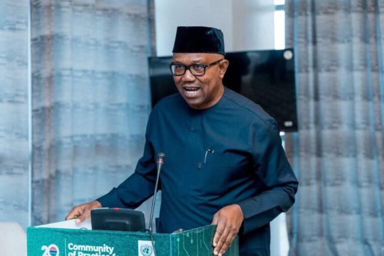 Muna kira ga ‘yan Nijeriya kar su sake zabar Tinubu saboda gazawa wajen samar da wutar lantarki – Peter Obi 