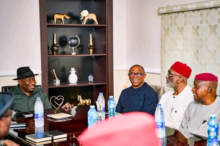 Peter Obi da Goodluck Jonathan sun yi ganawar sirri - DCL Hausa