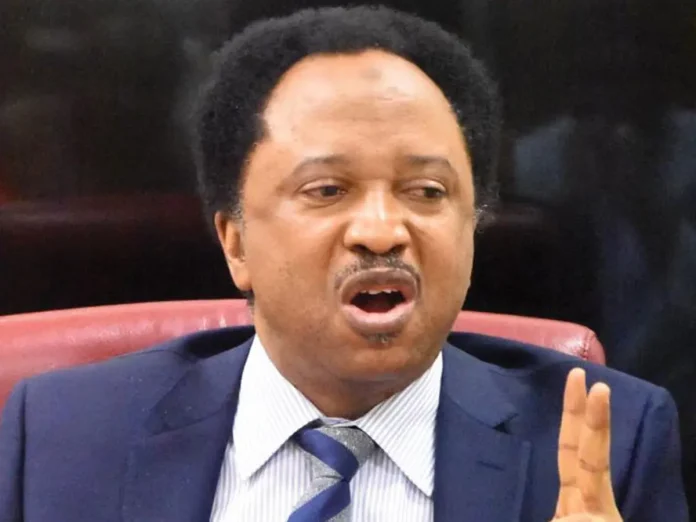 Tshohon Sanatan Kaduna ta Tsakiya, Shehu Sani